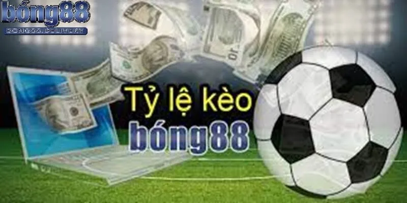 Nhà cái bong 88 phát triển hàng đầu để khách hàng tin dùng và phát triển đầu tư cá cược tại bong88 Nhà cái bong 88 phát triển hàng đầu để khách hàng tin dùng và phát triển đầu tư cá cược tại bong88